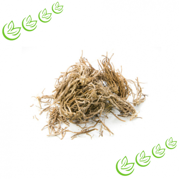 Äth. Vetiveröl BIO 10 ml
